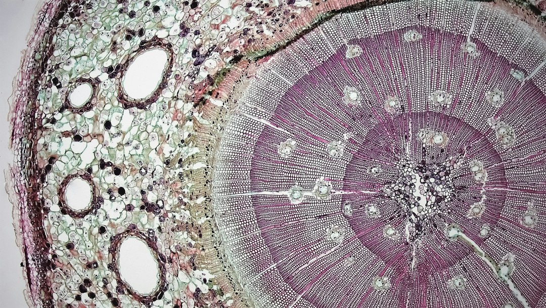 How Loss of Skin Elasticity Happens: The Science Behind Sagging Skin
